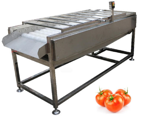 500kg/h食品加工の工場設備、野菜フルーツのブラシの洗濯機